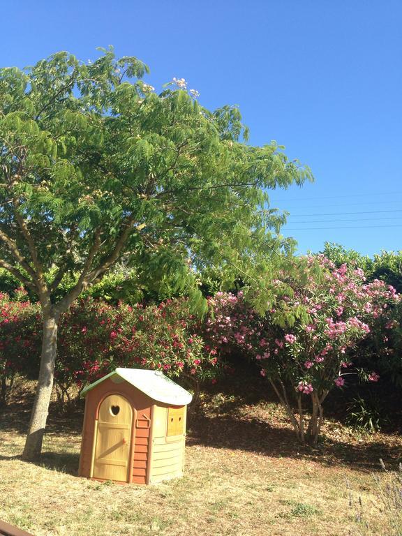 Appartamento Les Orchidées Carcassonne Esterno foto
